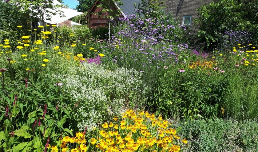 Bloemenpracht