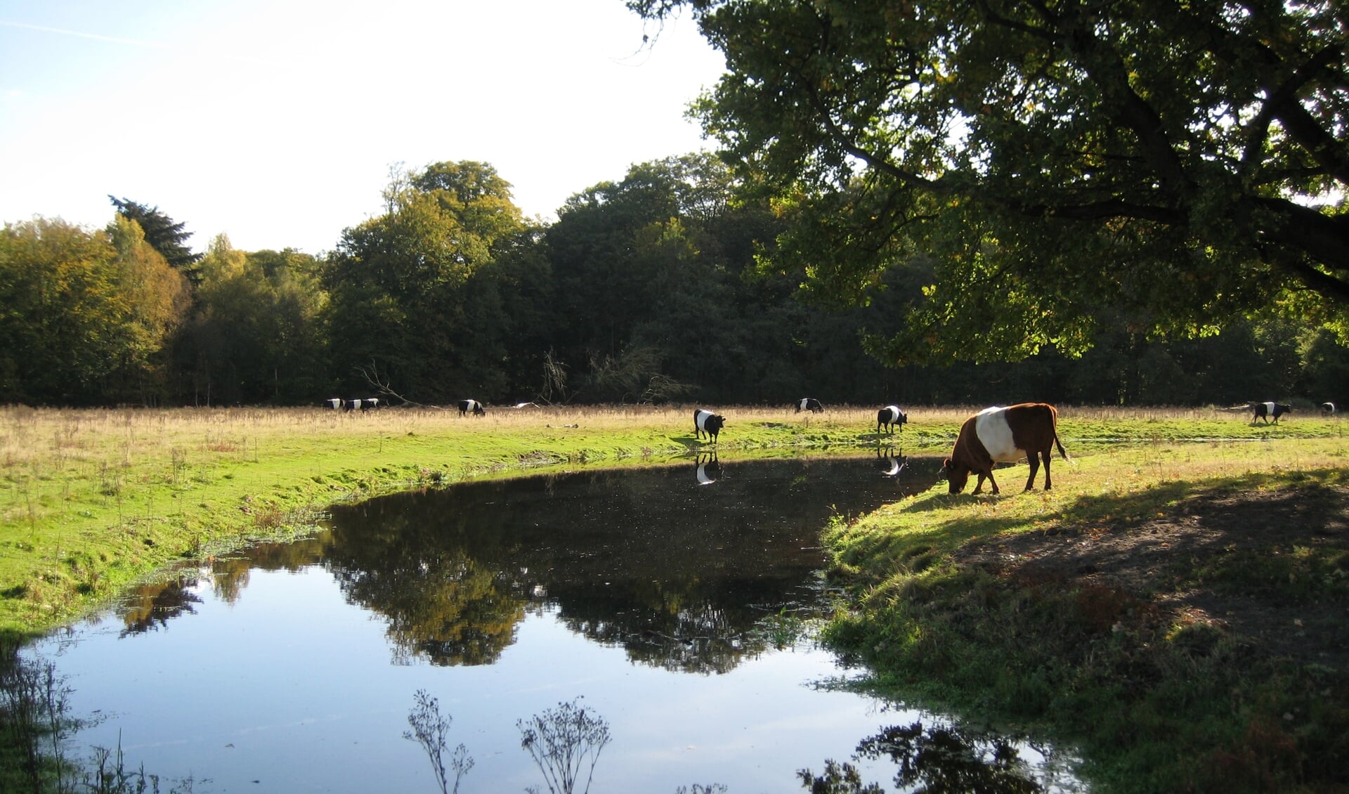 Geniet van het prachtige landschap op Houdringe.