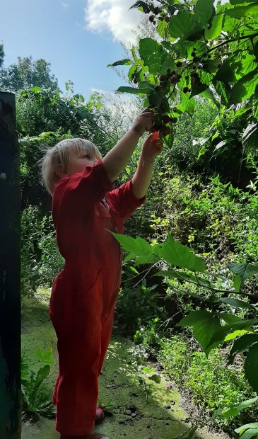 In haiku: Een tuin der lusten Schenkt scheutig van haar vruchten Zoete begeerte