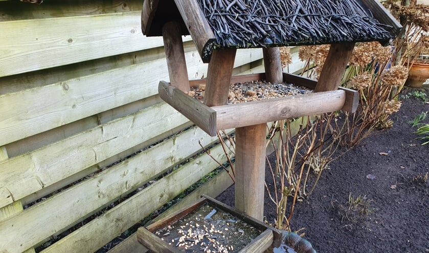 Met wat lekkers lok je vogels in je tuin.