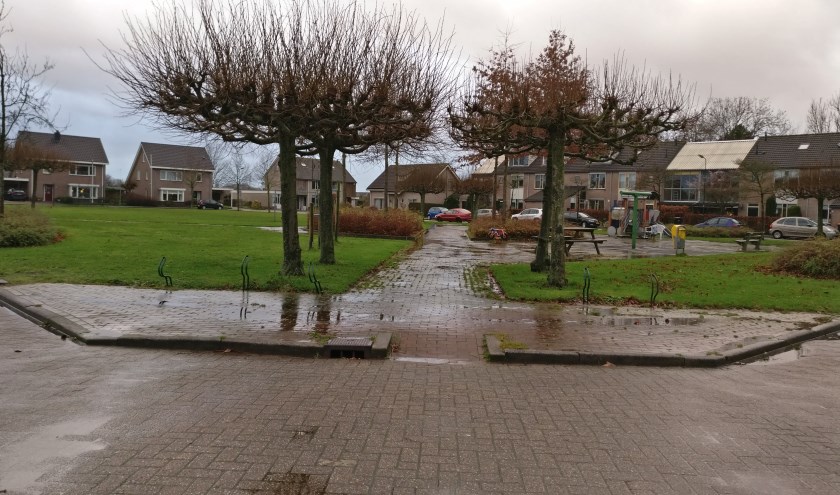 Het hemelwater stroomt via het maaiveld van het openbaar gebied naar een 'wadi' in het midden van het gebied zodat het op een natuurlijke wijze infiltreert in de bodem.