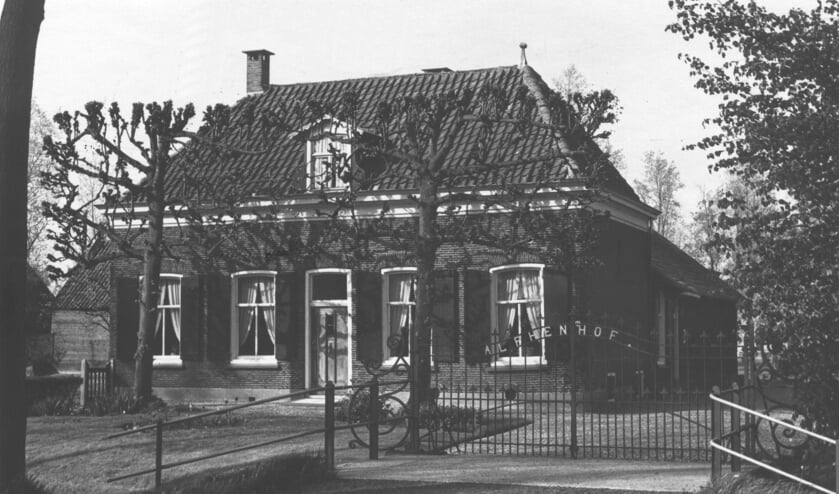 Een foto van de Alphenhof in 1965 uit de digitale verzameling van Rienk Miedema.
