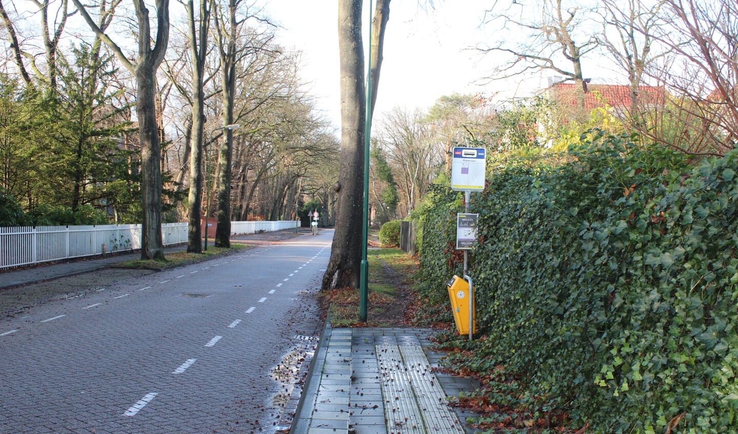 Lijn 78 vervolgt zijn weg vanaf Station Bilthoven, langs halte Rubenslaan Bilthoven en verder langs Jan Provostlaan Bilthoven. [foto december 2018] 