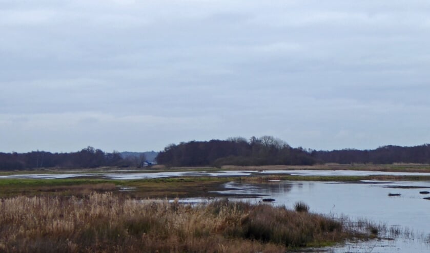 Weids uitzicht in het polderlandschap.