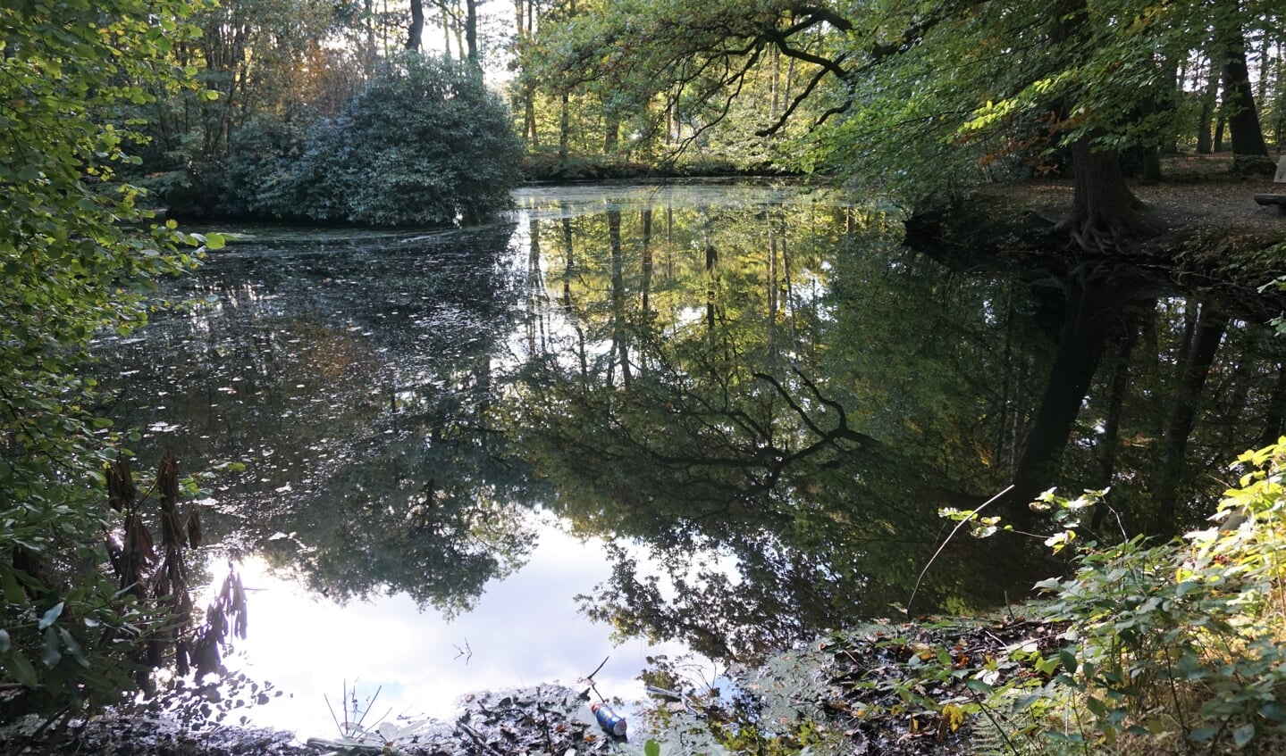 Bos Voordaan, met op de voorgrond de ‘spiegelvijver’ in het bos. (foto Frans Poot) 