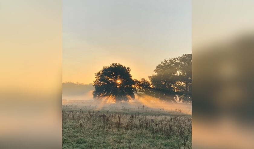 Licht op Houdringe