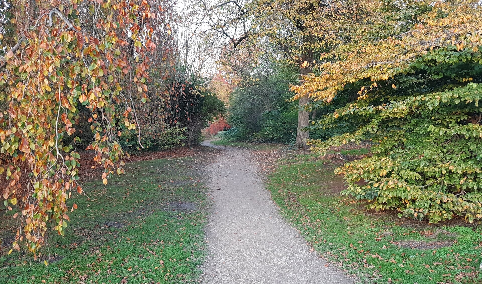 Romantische kronkelpaden in een herfstachtig Van Boetzelaerpark