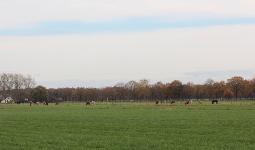 Het polderlandschap tussen Maartensdijk en Hollandsche Rading biedt mogelijheden voor een redelijk aantal windturbines.