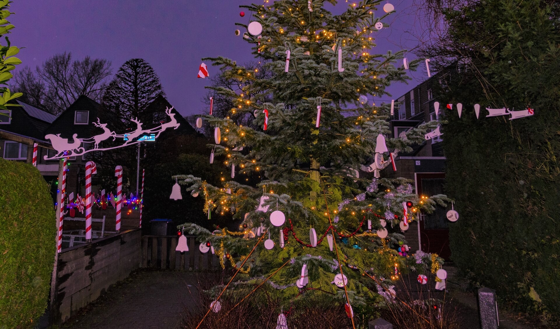 Voor het eerst sinds jaren was er weer een mooie kerstboom op de Wolfsmelk in Maartensdijk. (foto: Henny van der Heijden)