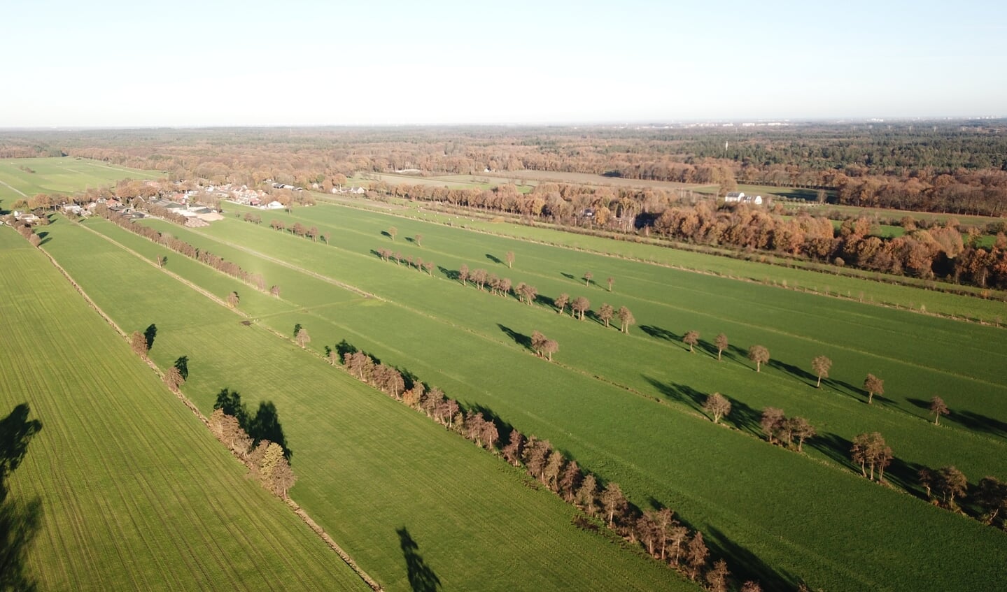 Landerijen ten oosten van de Julianalaan en de Prinsenlaan en ten zuiden van de Dorpsweg in Maartensdijk. (foto Max Maatman)