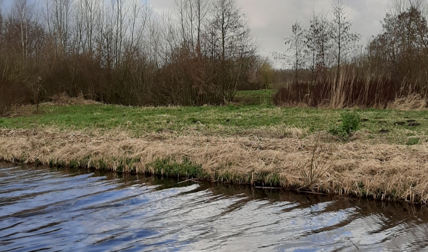 Wolken van water