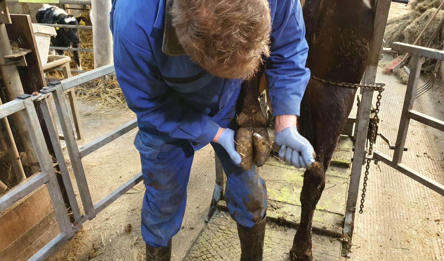 Op de boerderij is altijd wel iets te doen.
