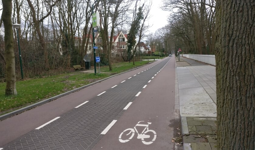 Inwoners zijn blij met het feit dat er geen gelede bus meer in de wijk rijdt, maar liever nog willen ze een vrij-liggend fietspad langs de Jan Steenlaan.   