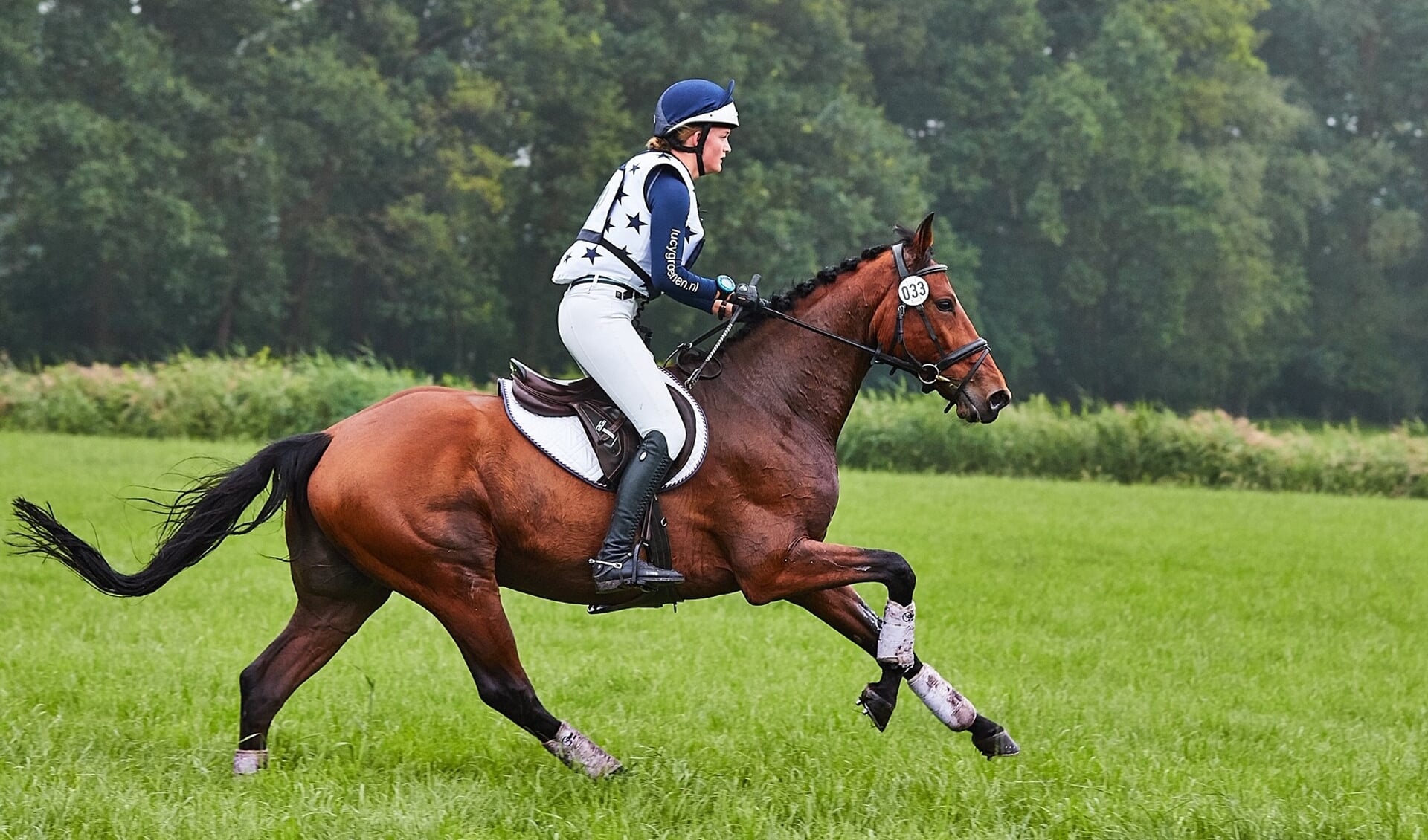 Tijdens eventingwedstrijden wordt er op snelheden van meer dan 30 km/uur gegaloppeerd.