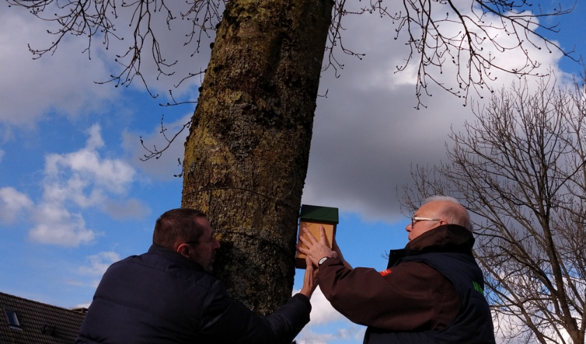 Werkgroep Biodiversiteit brengt nestkastjes aan.