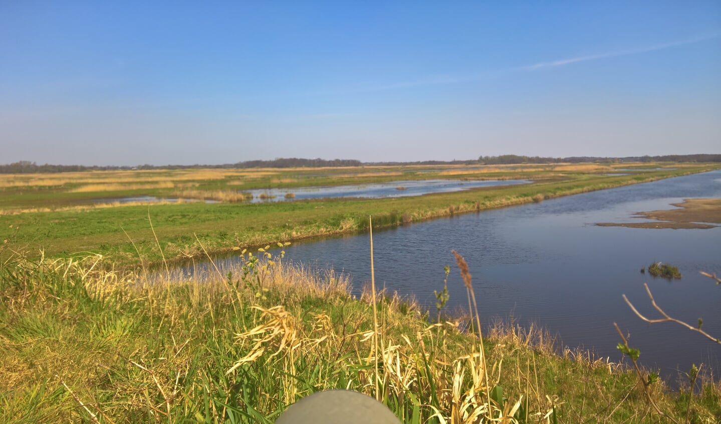 Zicht op deel van Oostelijke Binnenpolder (foto 9 april 2020) vanaf vogelkijkpunt (foto Wigle Braaksma).