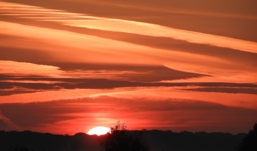Zonsopgang boven Westbroekse Zodden