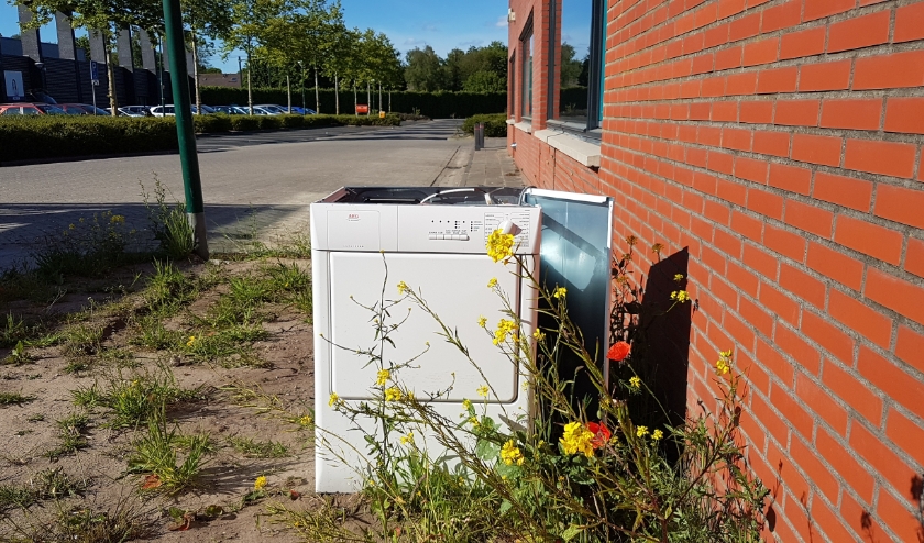 Voor zwembad Brandenburg heeft iemand een oude wasdroger gedumpt. Tussen de klaprozen, dat dan weer wel…