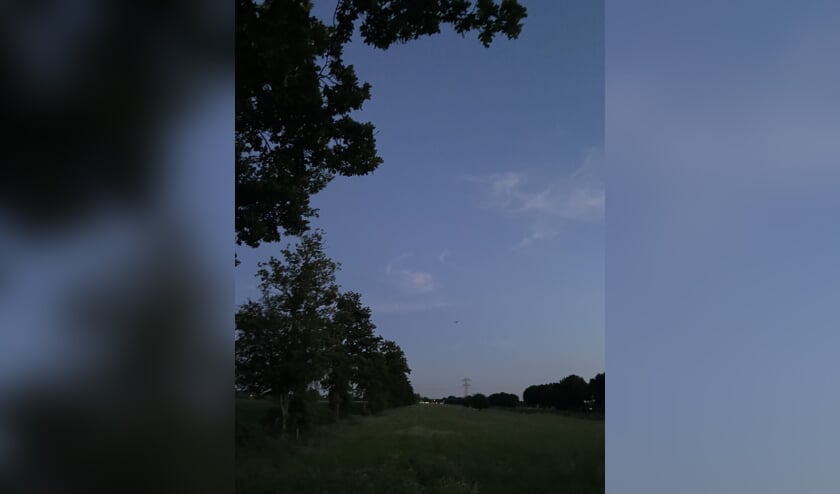 's Avonds worden de vleermuizen langs het Oostveensepad actief.