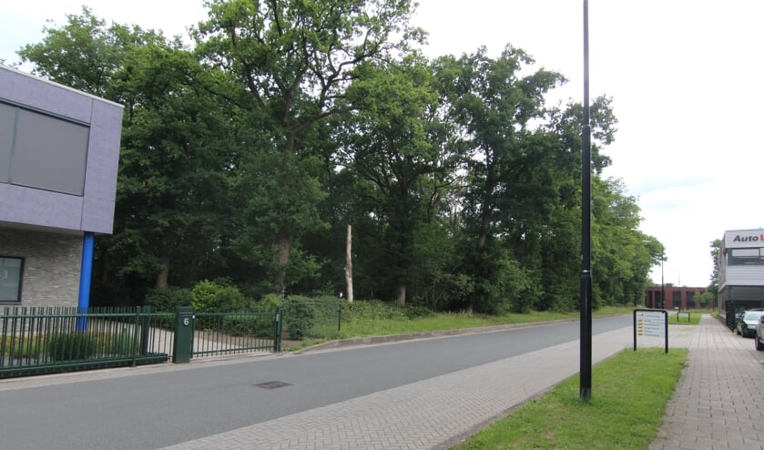 De directeur-eigenaar van het tegenoverliggende bedrijf Auto Larenstein sprak schriftelijk in: ‘Het uitkijken op de groenstrook is ‘uniek en waardevol’ voor een bedrijfspand. Dit alles gaat verdwijnen met de mogelijke uitbreiding’.
