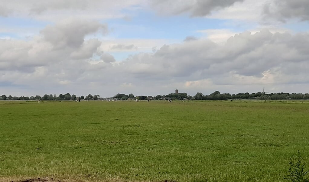 Agrarisch weiland met aan de einder de kerk en de molen van Westbroek. (foto Karien Scholten)