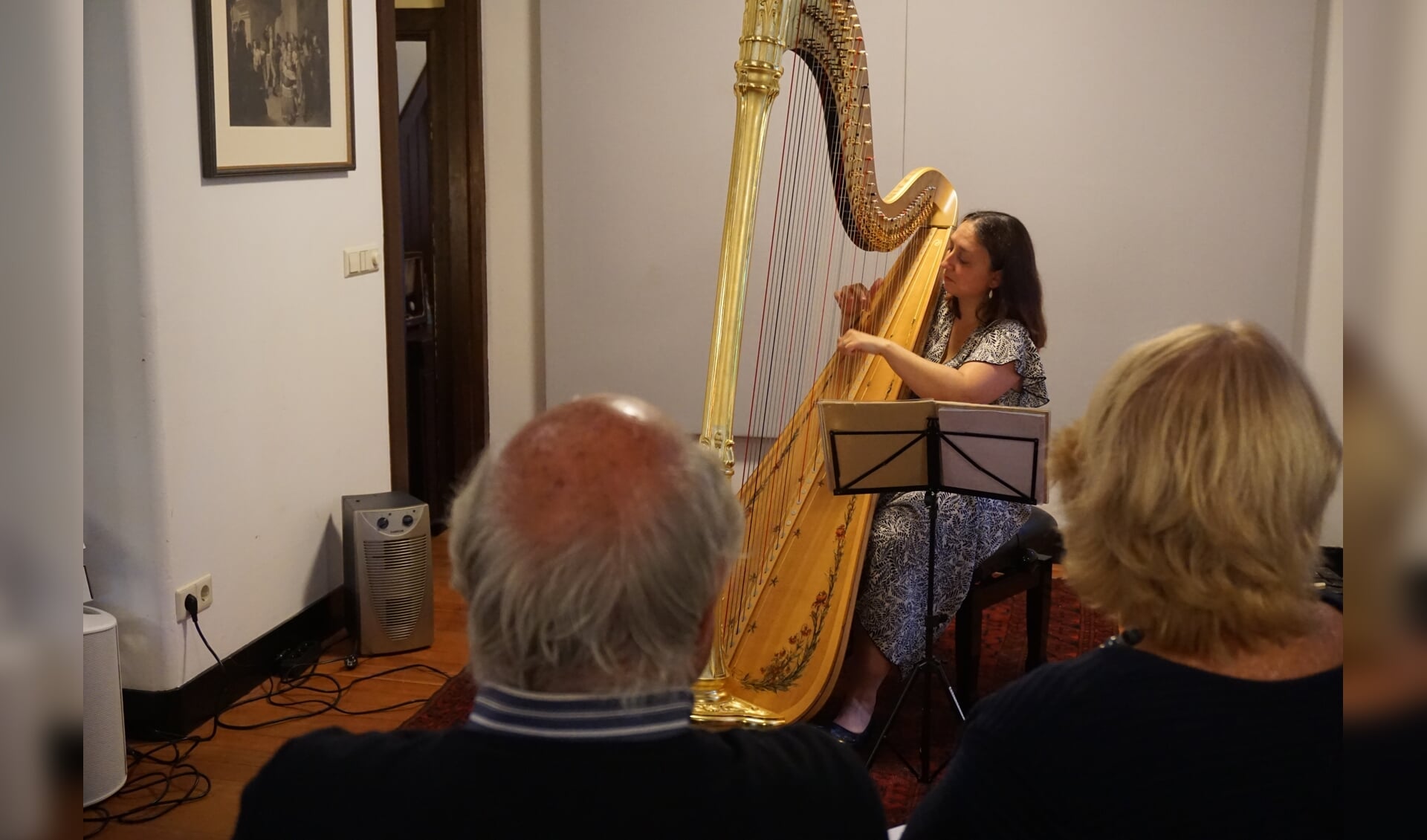 Victoria Davis speelt haar moderne harp in Huize Gaudeamus.