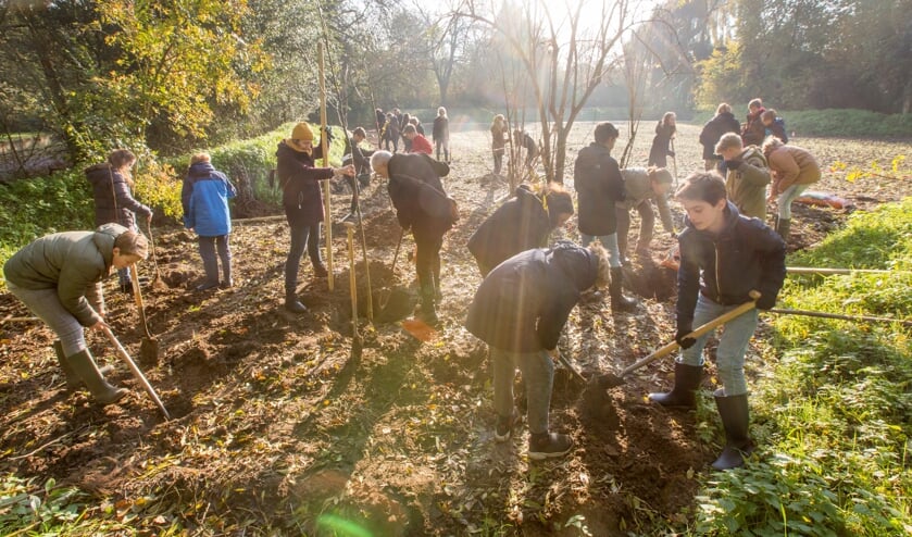 Nederland, Zeist, 20 november 2019. Leerlingen van de Stichtse Vrije School in Zeist helpen Sonne Copijn met het planten van bomen en struiken. Foto: Jorgen Caris  