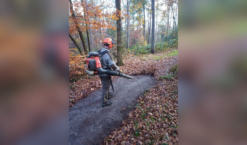 Bladblazen in het bos is nuttig voor mens en natuur.