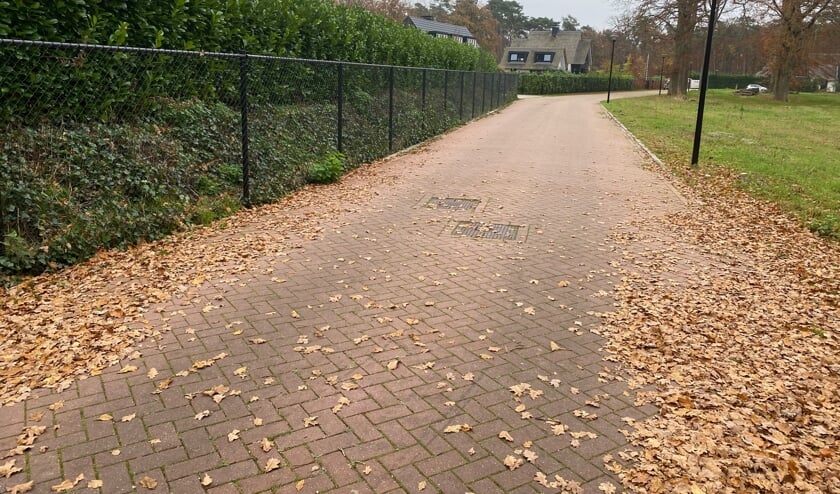 De toegangsweg naar het wijkje achter de Soestdijkseweg.