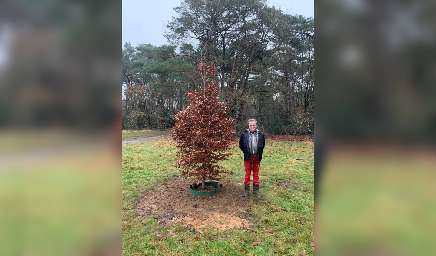 De rode beuk en Giel Schmelter (de zoon van Riet).