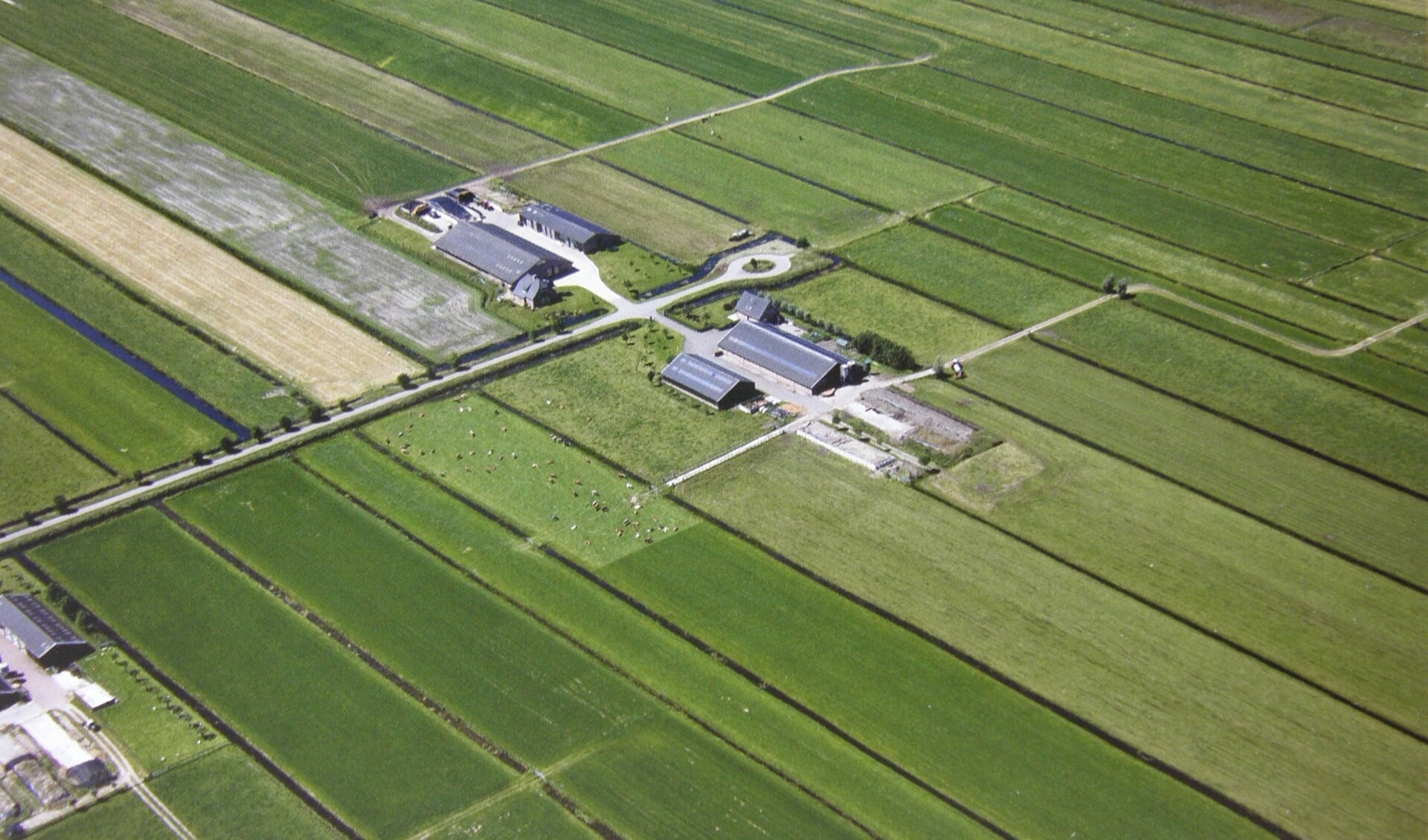 In 1999 gebouwde boerderijen aan de Korssesteeg te Westbroek. (foto Het Utrechts Archief)