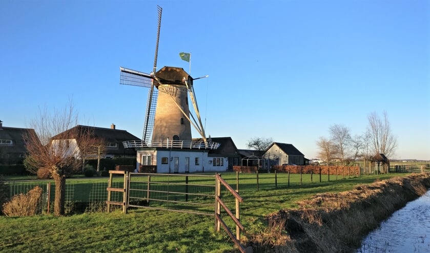 Over het bouwjaar van de Geesina bestaat wat onduidelijkheid. Bronnen spreken van 1843, maar op de kap van de molen staat het jaartal 1853. De romp is gemetseld van brons- tot roodkleurige ijsselsteentjes.