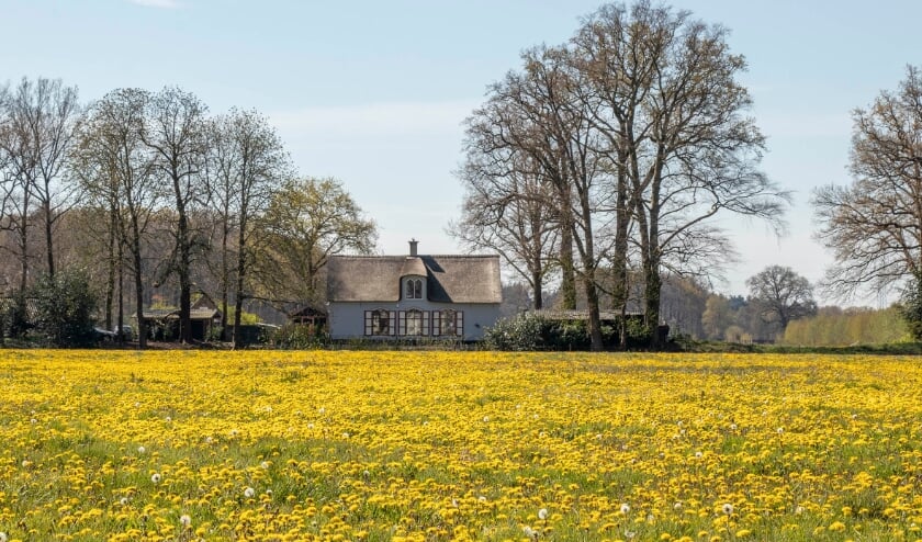 Voedingsbron voor de wilde bij