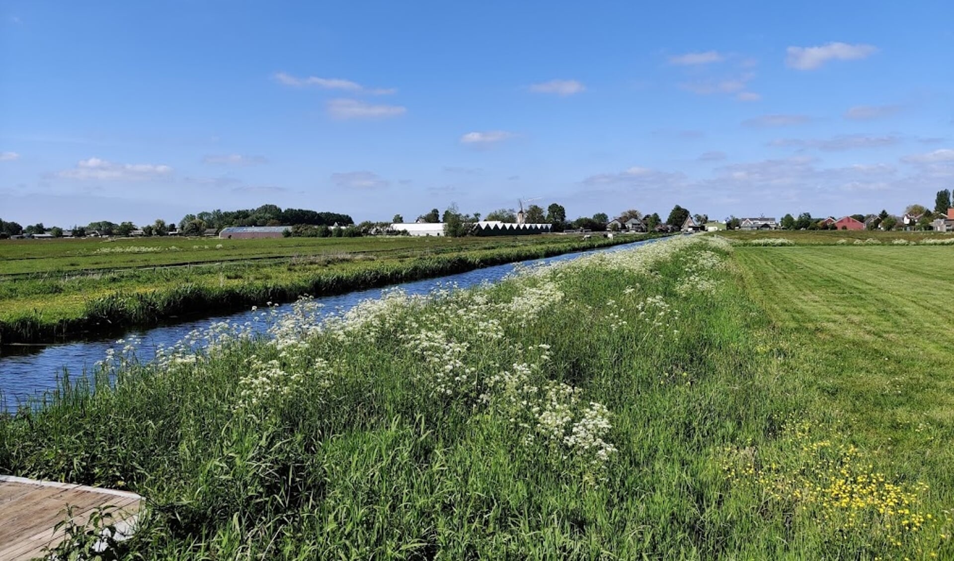 Op de weilanden tussen de Koningin Wilhelminaweg en Ruigenhoeksedijk wordt binnenkort begonnen met de bouw van de oefengolfbaan.