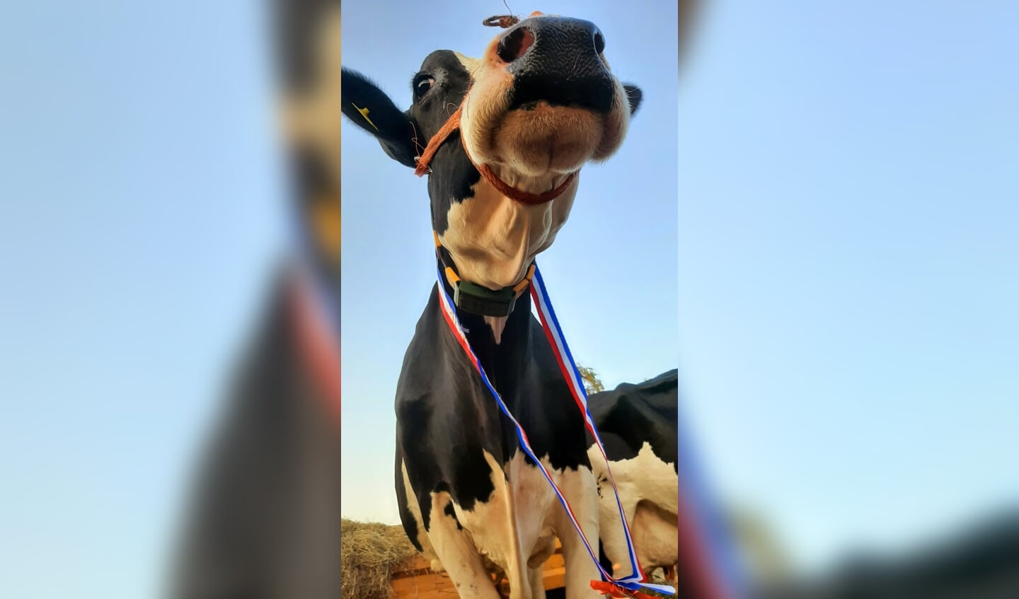Greta's melk