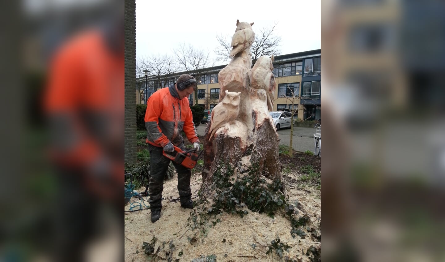 Net over de grens van Hollandsche Rading toverde Dave in 2005 een 70-jarige eikenstronk om tot een beer. [foto Annemieke van Zanten]