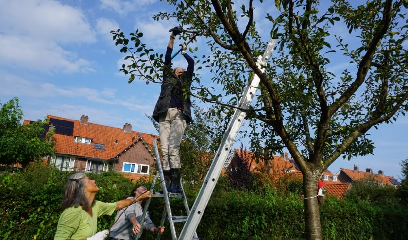 Plukochtend