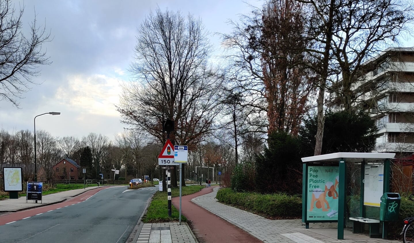 Een optie zou kunnen zijn een busbaan Blauwkapelseweg om busverkeer richting Biltse Rading te faciliteren en eenrichtingsverkeer in te stellen op het wegvak tussen de Biltse Rading en Park Arenberg (dorp in). 
