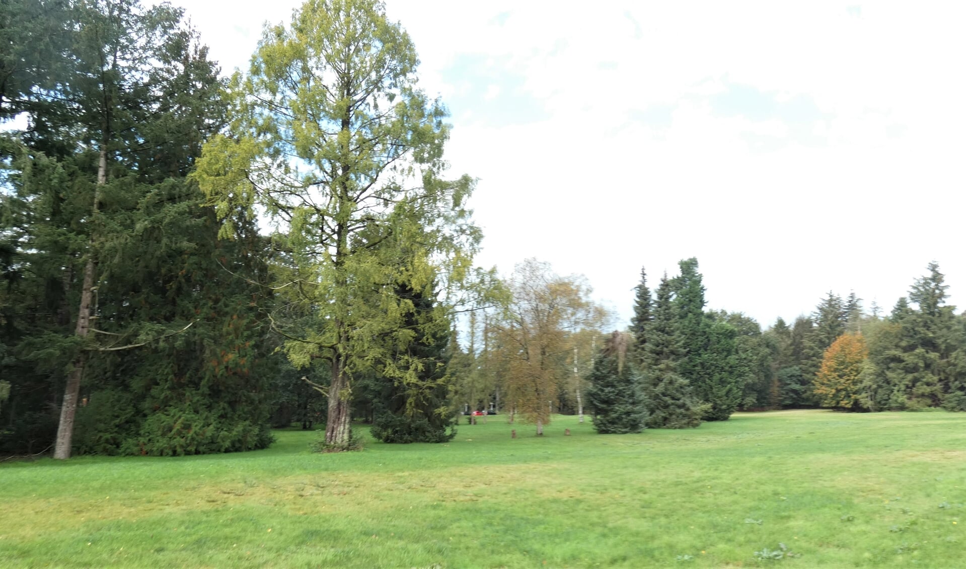 Een panorama van bomen op het terrein.