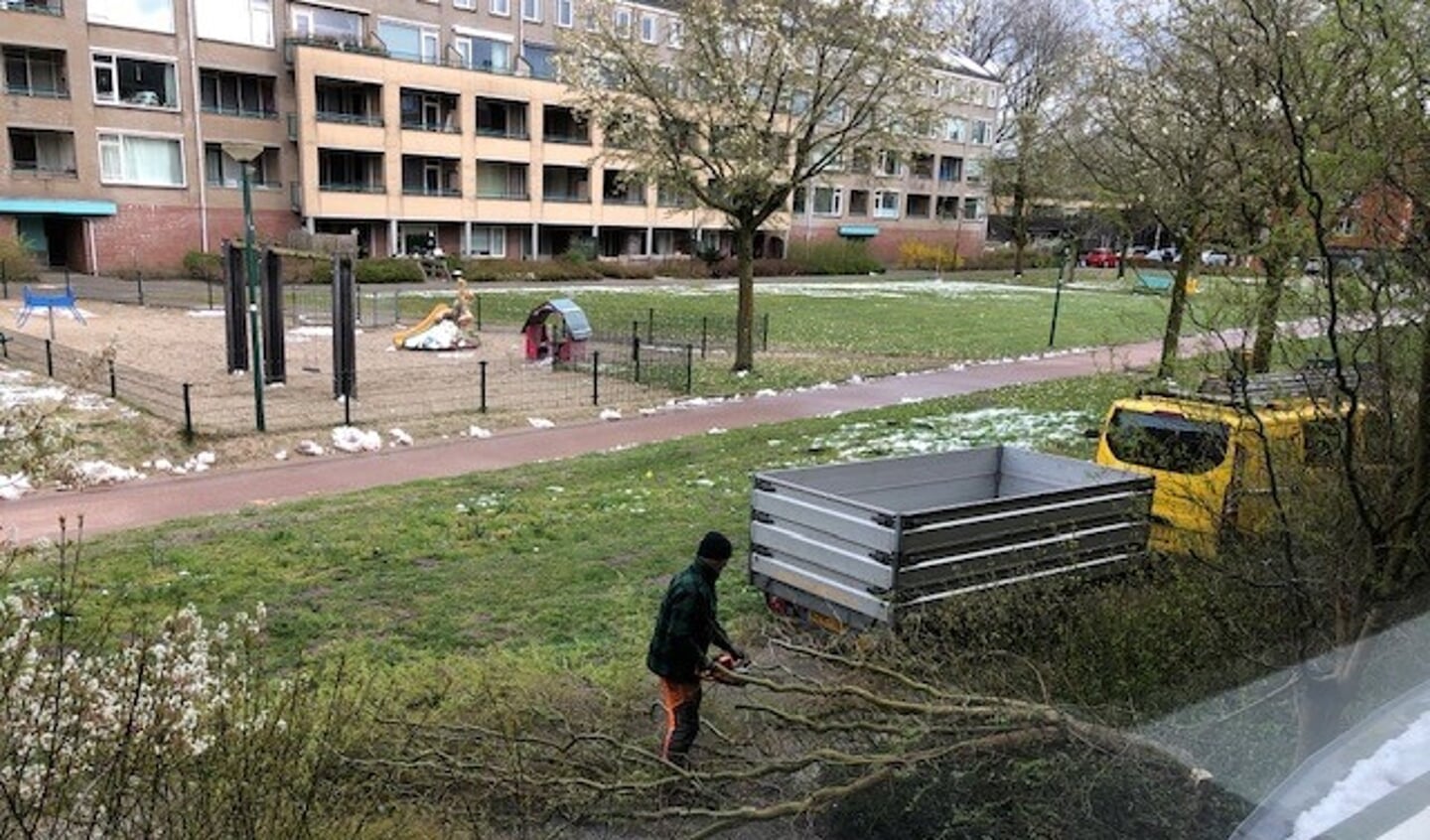 Afbeelding