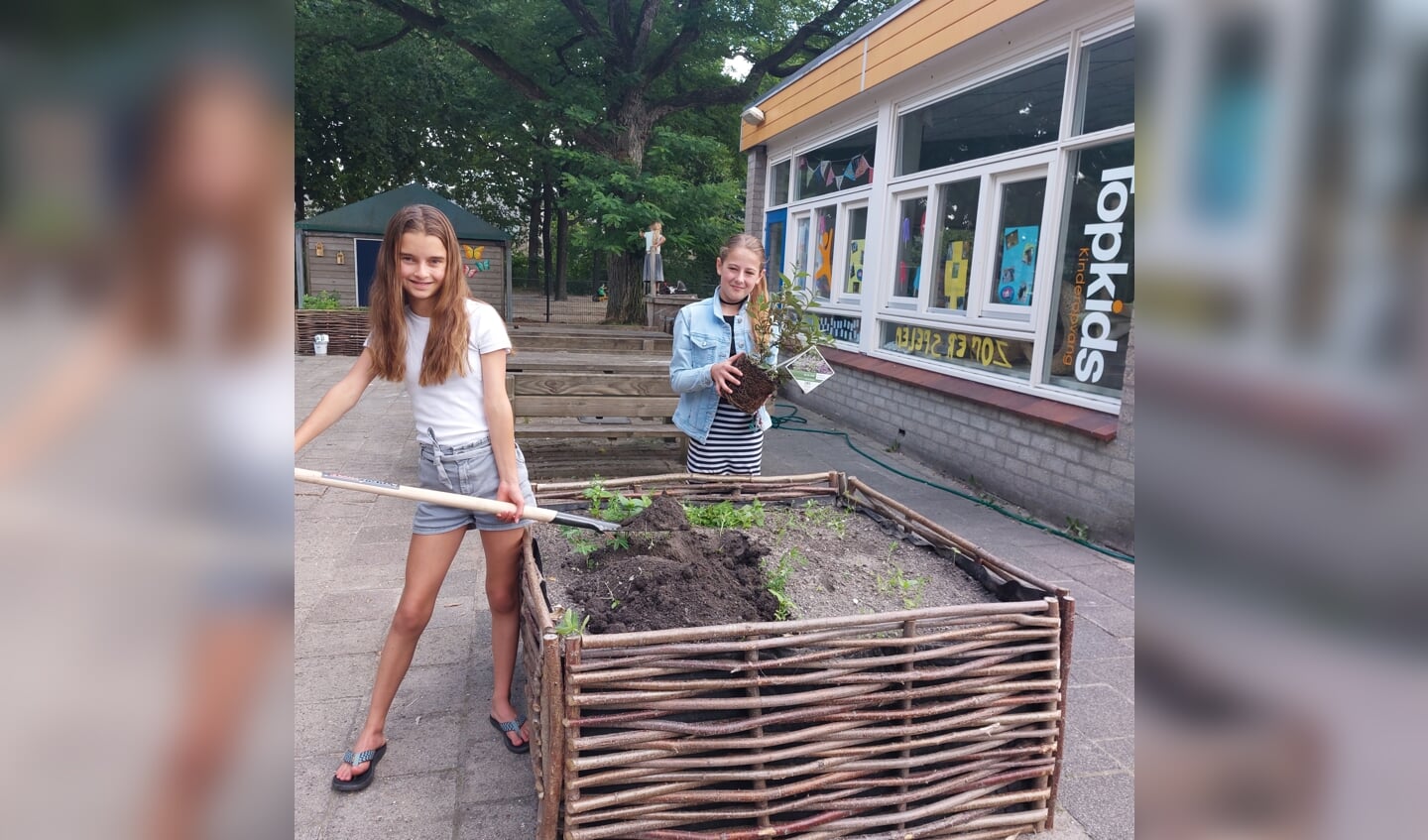 Aan Topkids BSO en peuterplus Maartensdijk zijn enkele vlinderstruiken cadeau gedaan, op het jaarfeest. Ze werden met veel enthousiasme geplant in de groene binnentuin.