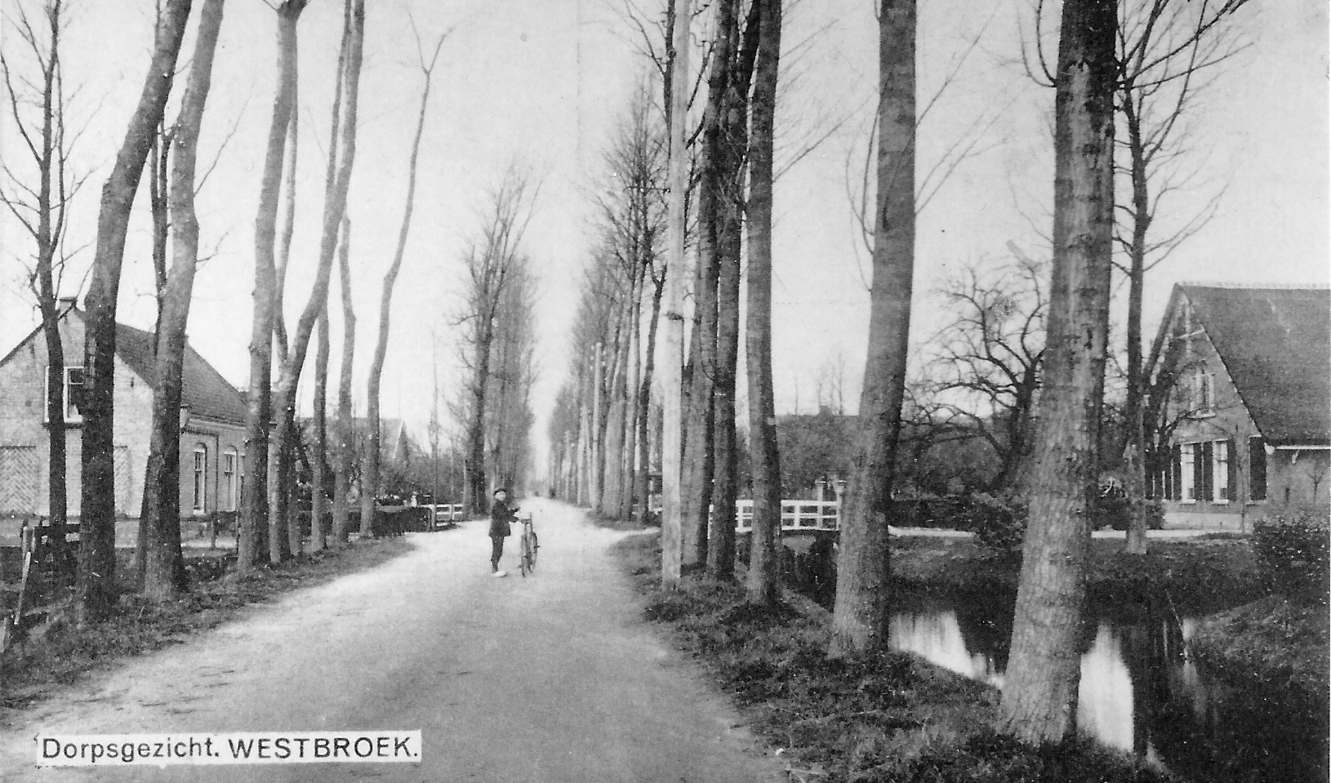 De Kerkdijk waarborgt al eeuwenlang een bomenrijk dorpsgezicht.