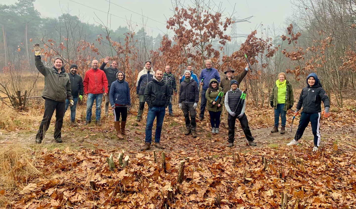 Groep ASML-werknemers die aan de gang gaan in natuurgebied de Sprankel. Op de voorgrond stronken van reeds afgezaagde Amerikaanse eiken. FOTO: Rien de Schipper