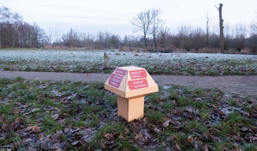 Niet alleen in de bebouwde kom zijn de paddenstoelen te vinden.