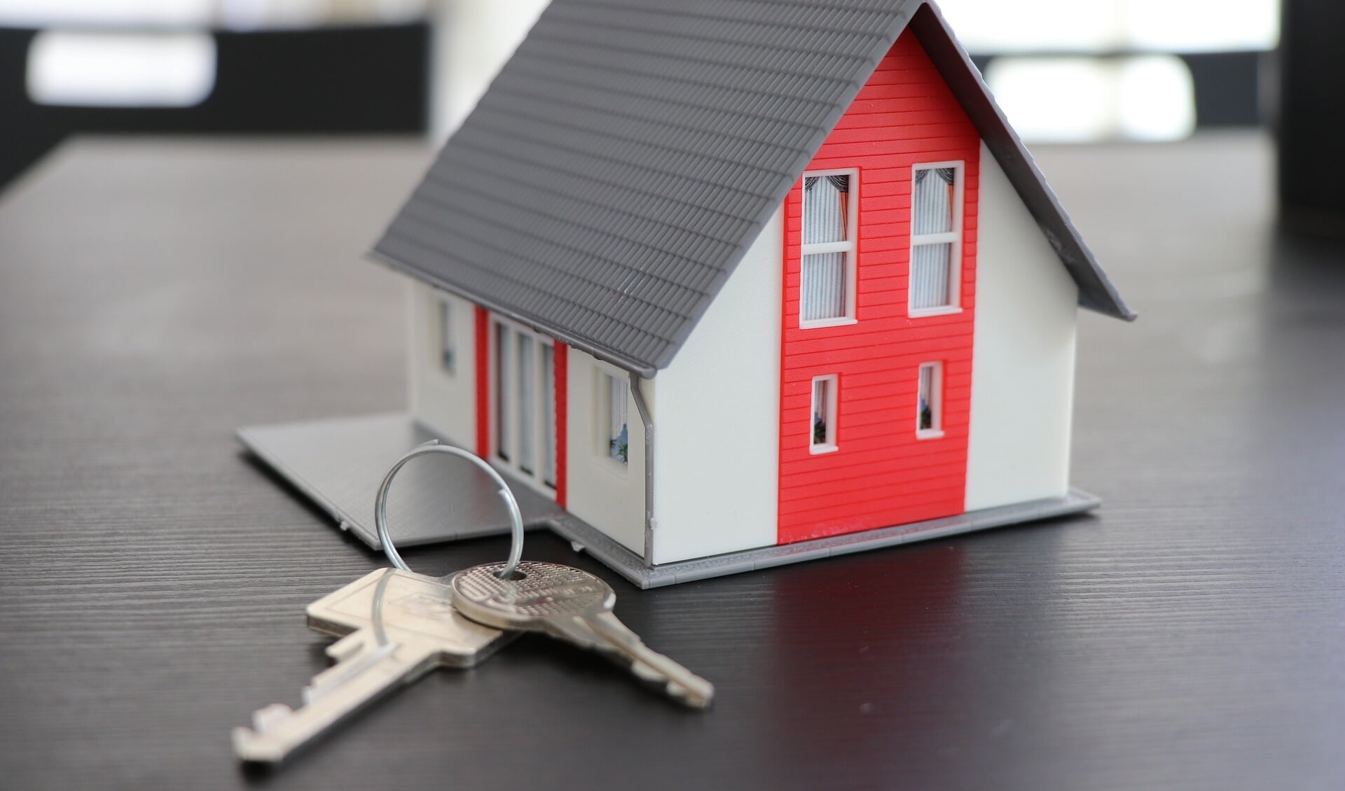 Ook inwoners met een koopwoning mogen een kamer verhuren binnen dit project. FOTO: PixaBay.