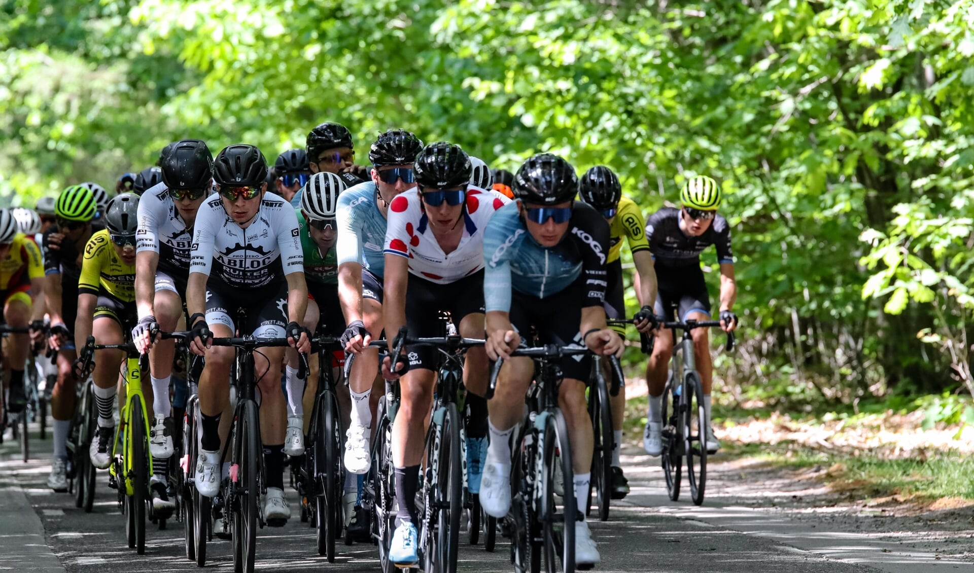 De teams voor de 74 SIMAC Omloop der Kempen 2023 zijn bekend. FOTO: Organisatie.