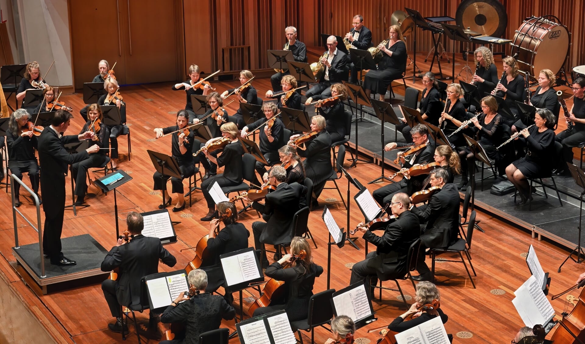Symfonieorkest Eindhoven tijdens een uitvoering. FOTO: Paul Keizer.