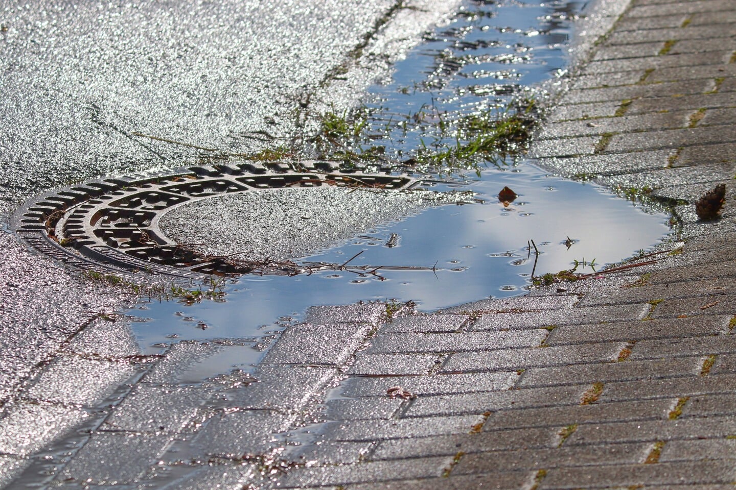 Zonde, al dat regenwater in het riool. FOTO: PixaBay.