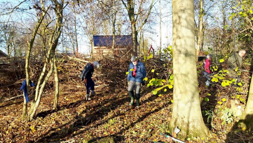 pers bericht groentje | Veluwe Koerier - Al het nieuws uit ...