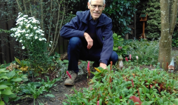 <p> "Maak ruimte voor een plant, struik, boom of moestuintje." </p>